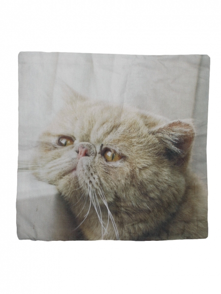 Наволочка декоративная