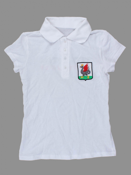 Футболка-поло