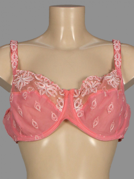 Бюстгальтер