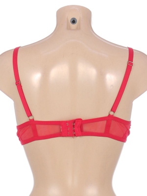 Бюстгальтер