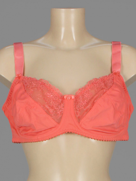 Бюстгальтер