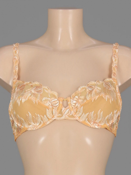 Бюстгальтер