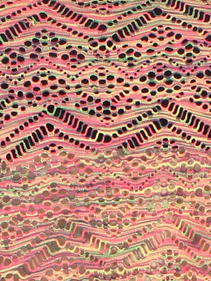 Комплект (Майка,топ)