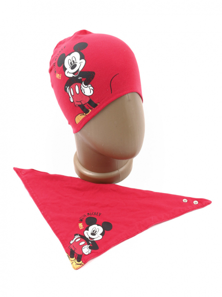 Комплект (Шапка, платок)