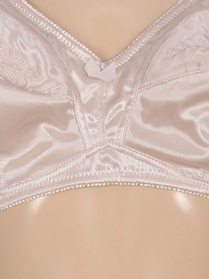 Бюстгальтер