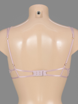 Бюстгальтер