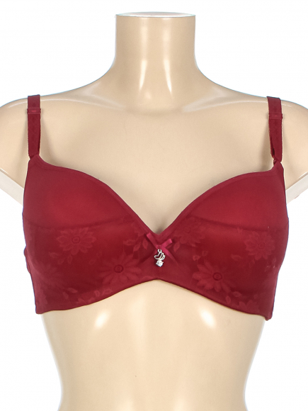 Бюстгальтер