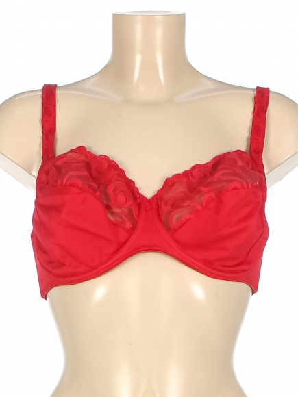 Бюстгальтер