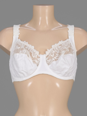 Бюстгальтер