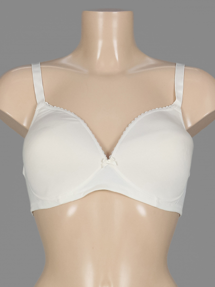 Бюстгальтер