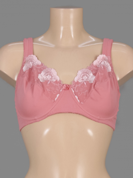 Бюстгальтер