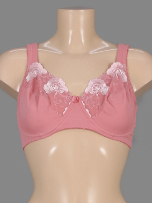 Бюстгальтер