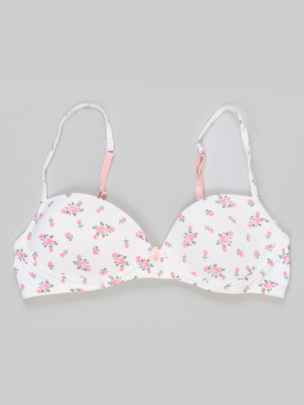 Бюстгальтер