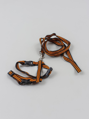 Шлейка для собак