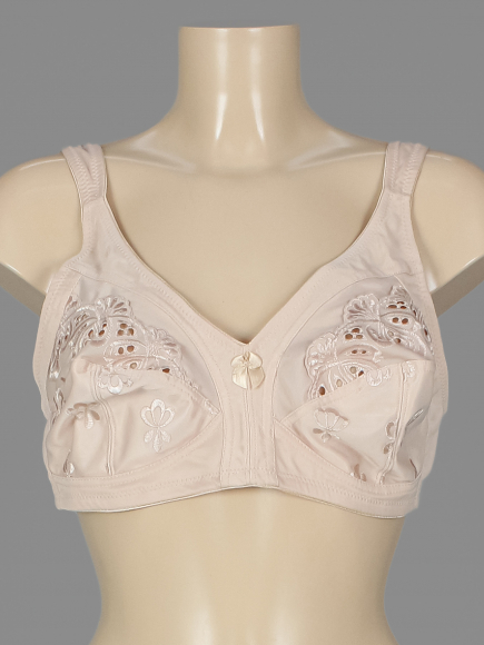 Бюстгальтер