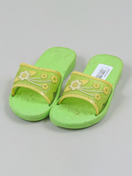 Сланцы