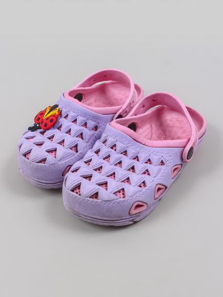 Сланцы
