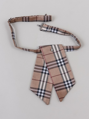 Галстук