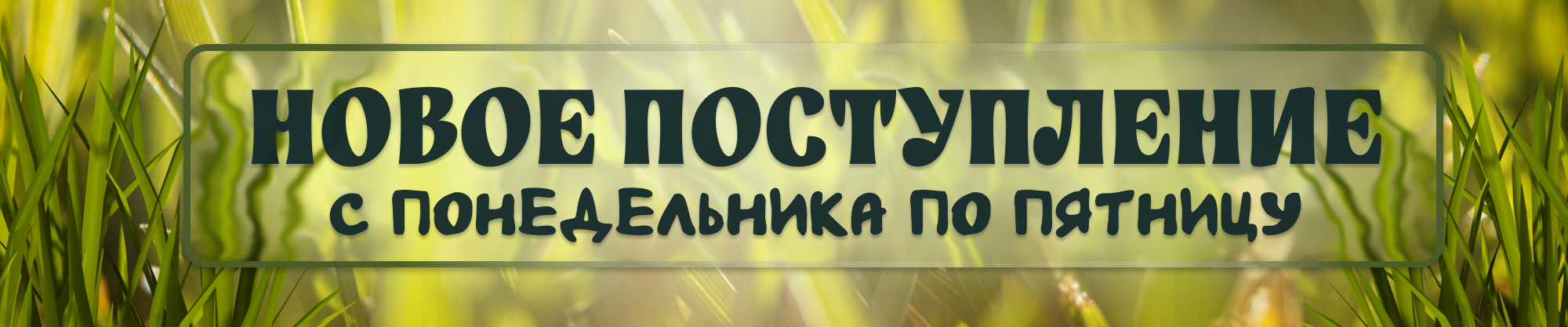Новое поступление товара